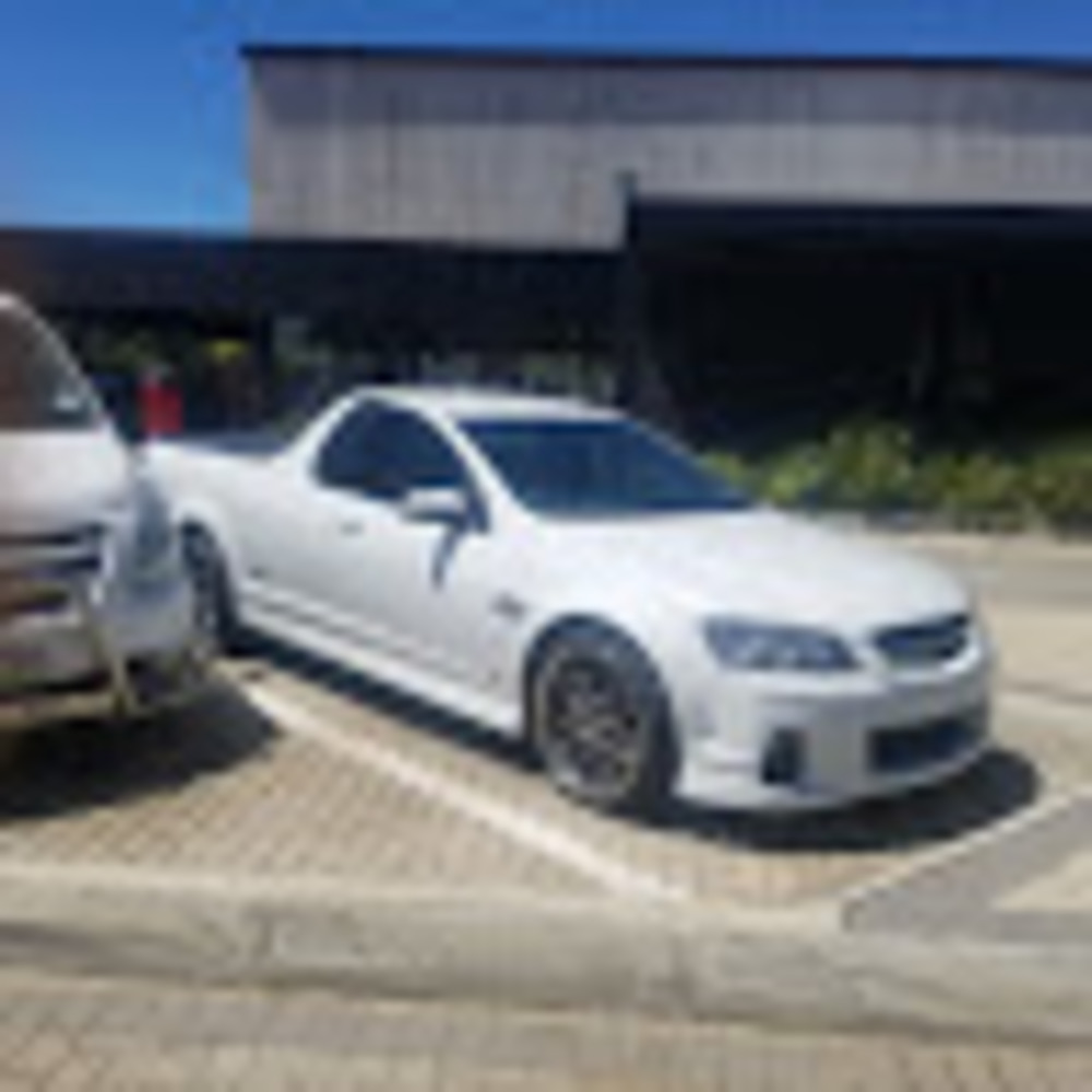 Meet your Posher, Lou